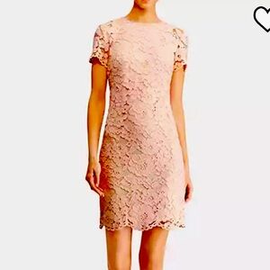 RALPH LAUREN NWT Dress sz18 Lt Pink Fliral Lace Overlay Lined Above Knee Classy